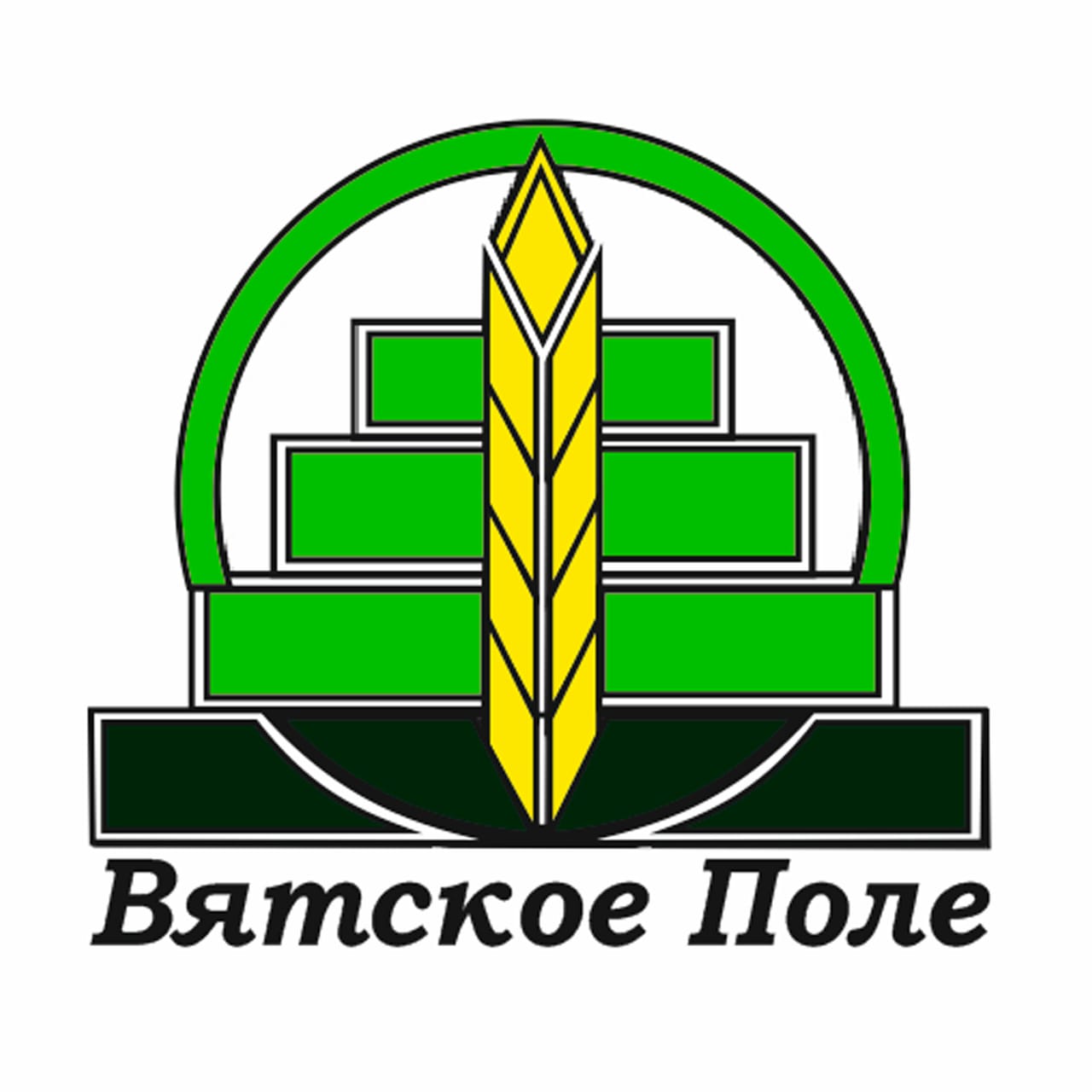Вятское поле